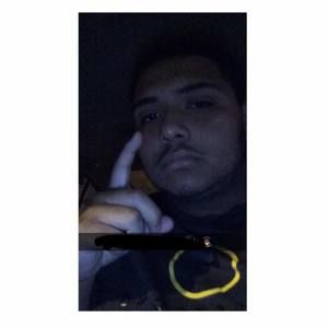 Meet your Posher, Pedro